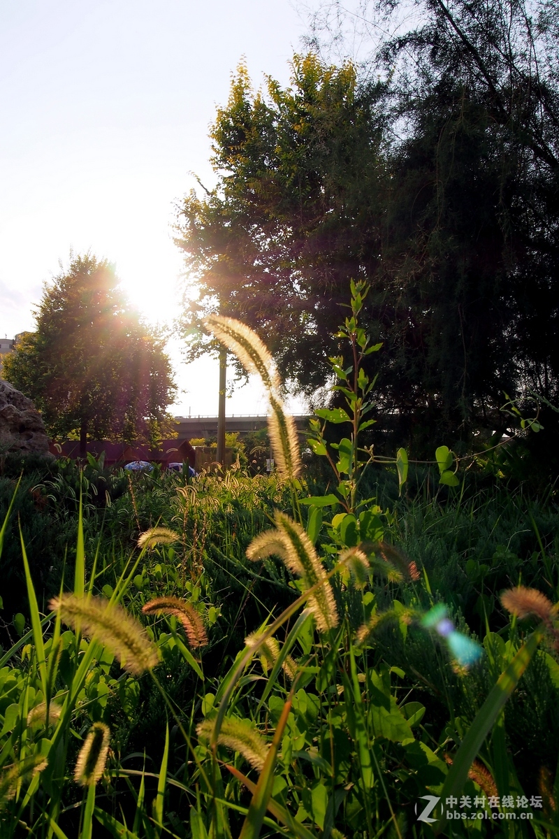 E--P5南翠屏公园随拍