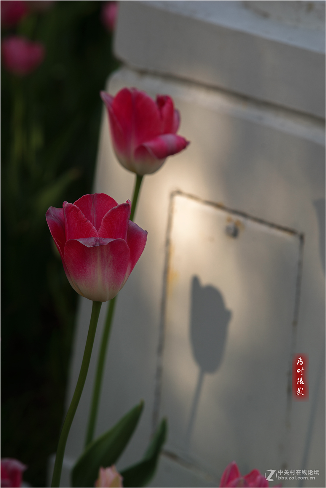 如此多娇