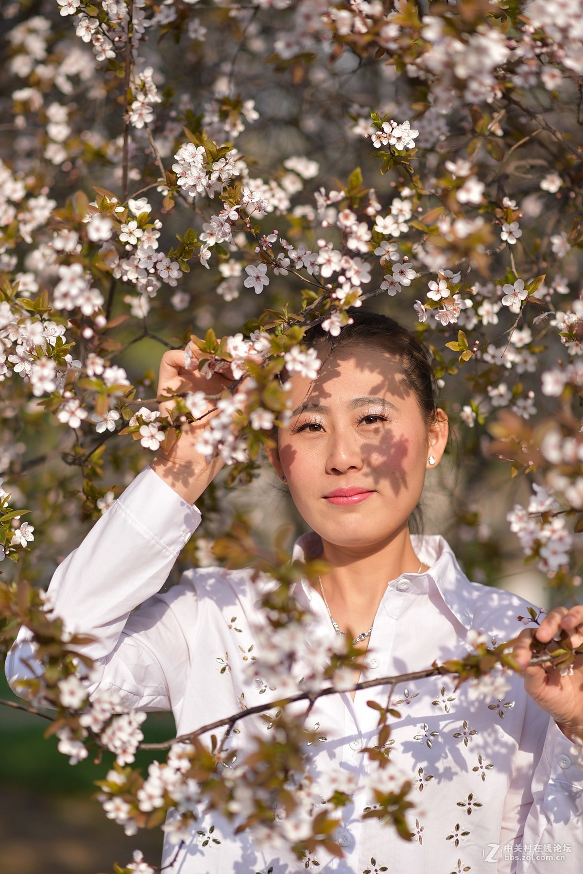 淑女范（邯郸赵苑）