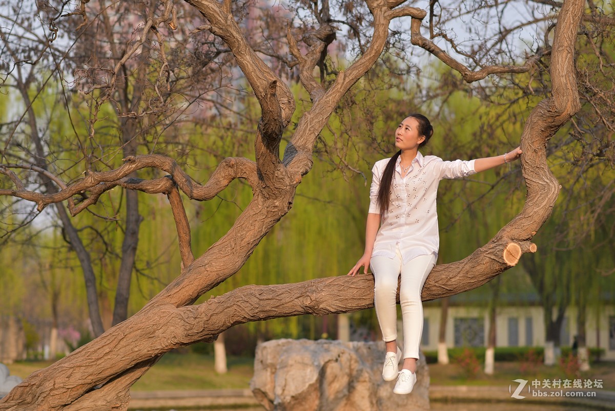 淑女范（邯郸赵苑）