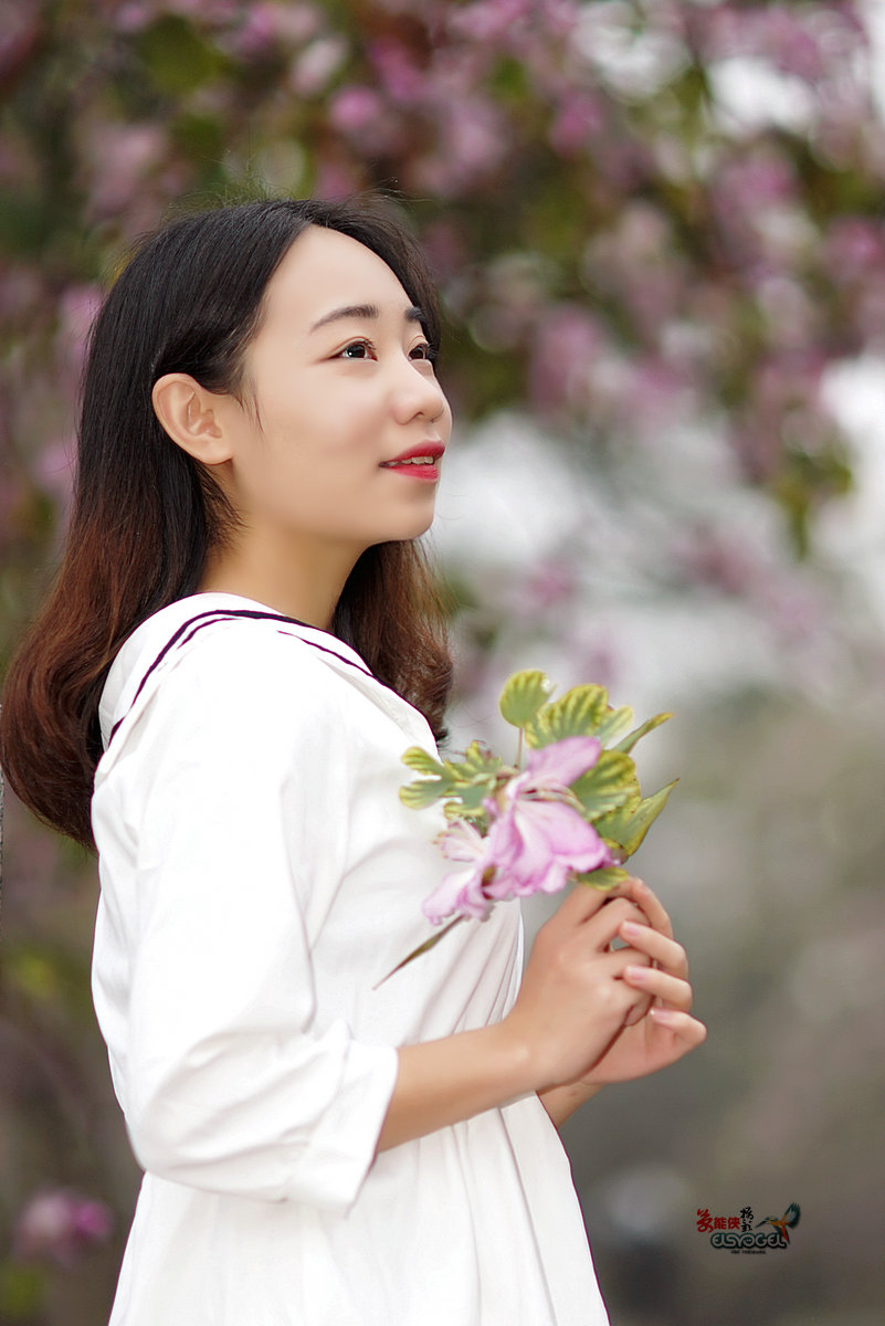 【雨后华农紫荆花少女】 -----墨墨酱