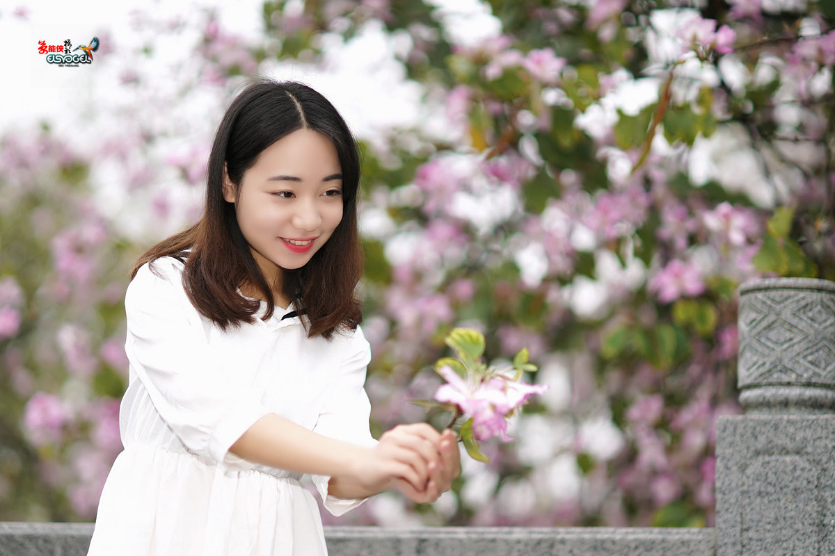 【雨后华农紫荆花少女】 -----墨墨酱
