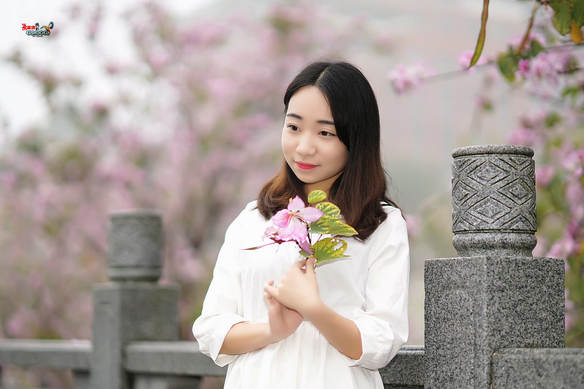 【雨后华农紫荆花少女】 -----墨墨酱