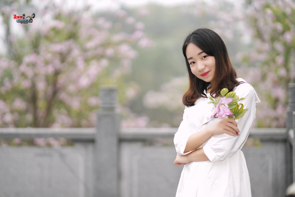 【雨后华农紫荆花少女】 -----墨墨酱