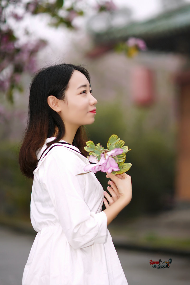 【雨后华农紫荆花少女】 -----墨墨酱