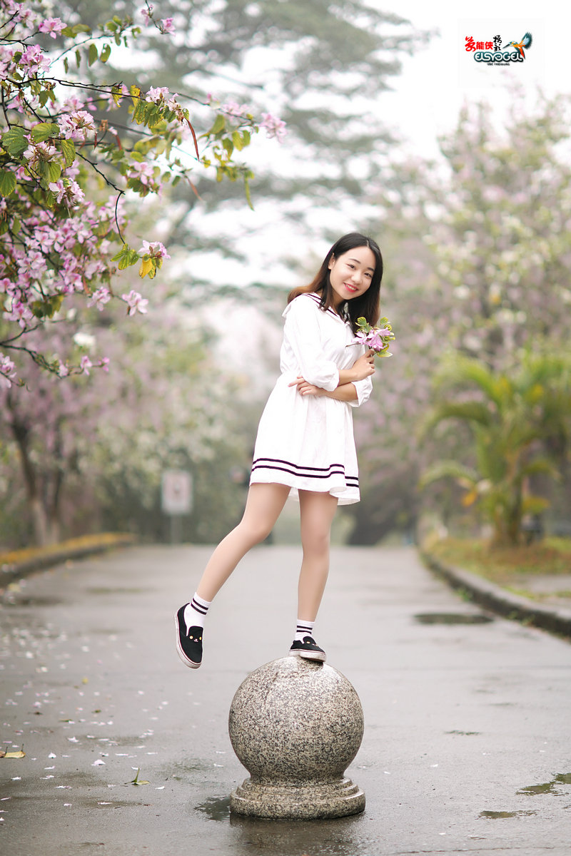【雨后华农紫荆花少女】 -----墨墨酱