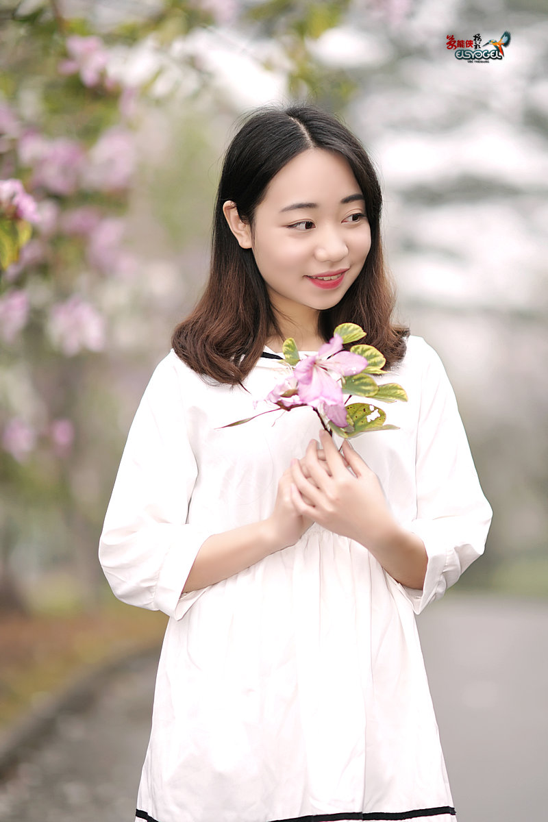 【雨后华农紫荆花少女】 -----墨墨酱