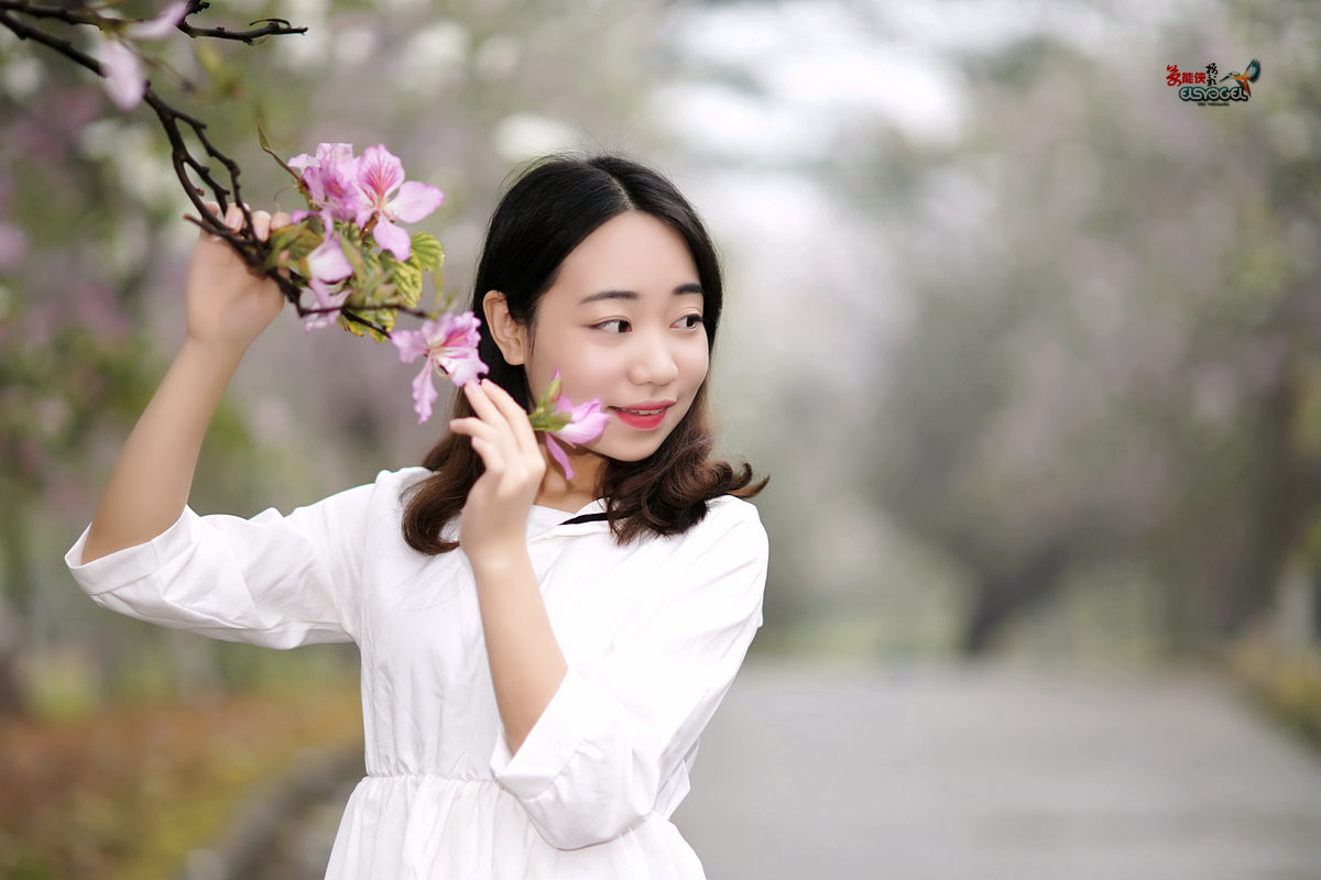 【雨后华农紫荆花少女】 -----墨墨酱