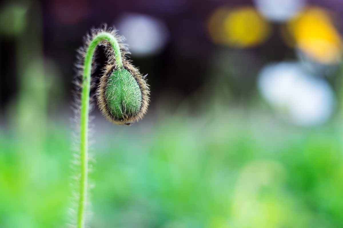 pb口潘太康50 1.8.试镜