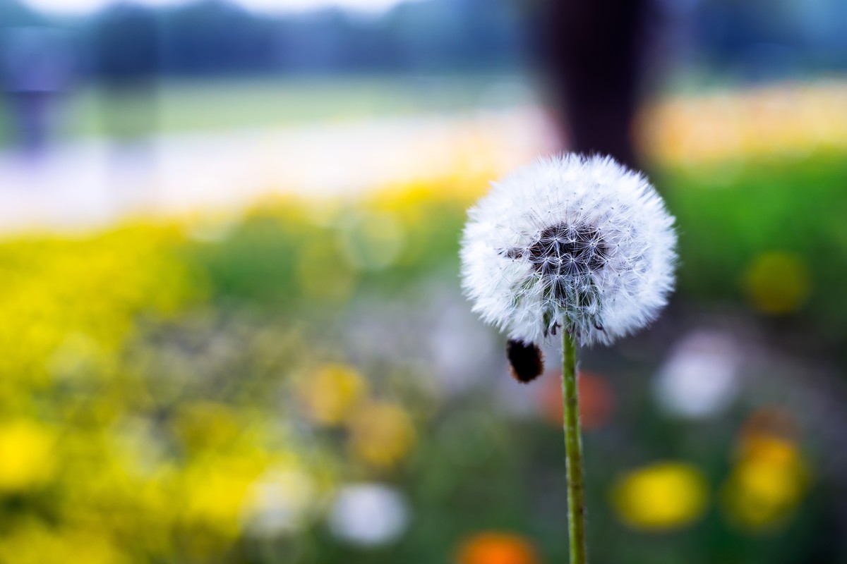 pb口潘太康50 1.8.试镜