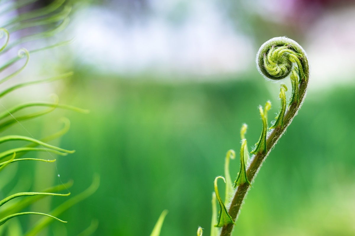 pb口潘太康50 1.8.试镜