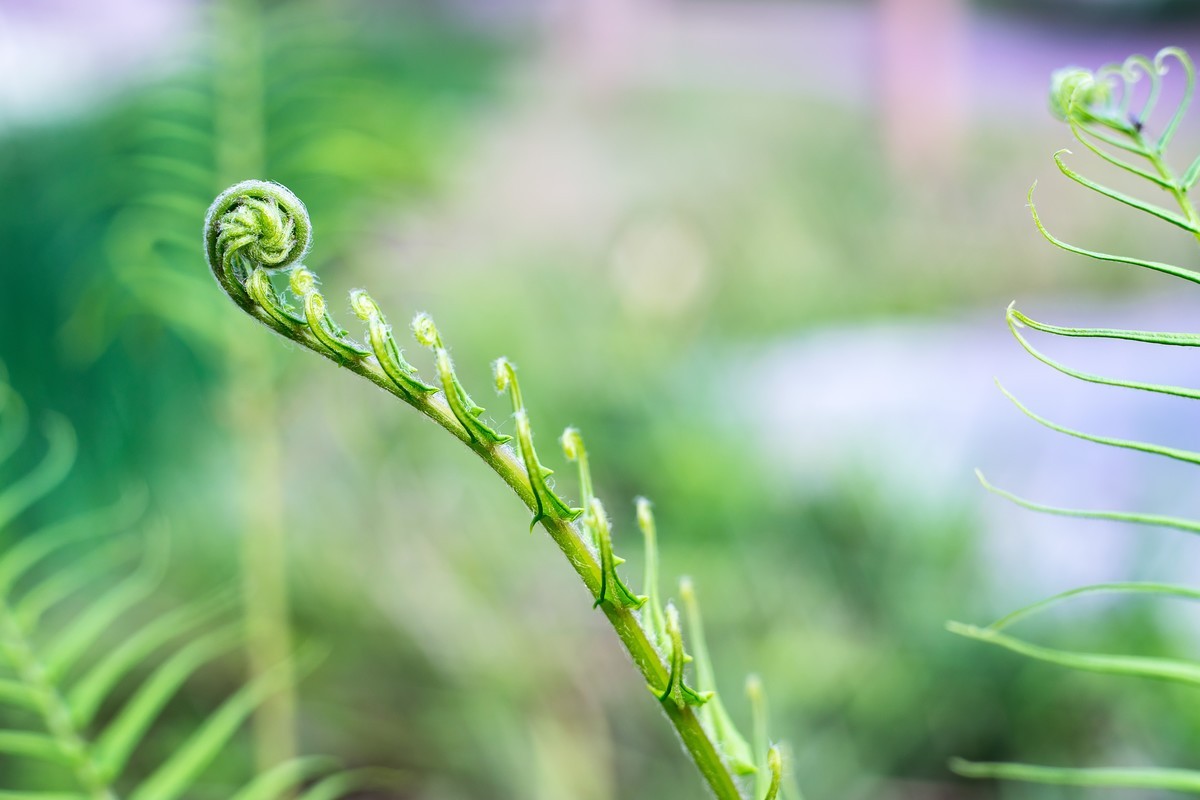 pb口潘太康50 1.8.试镜