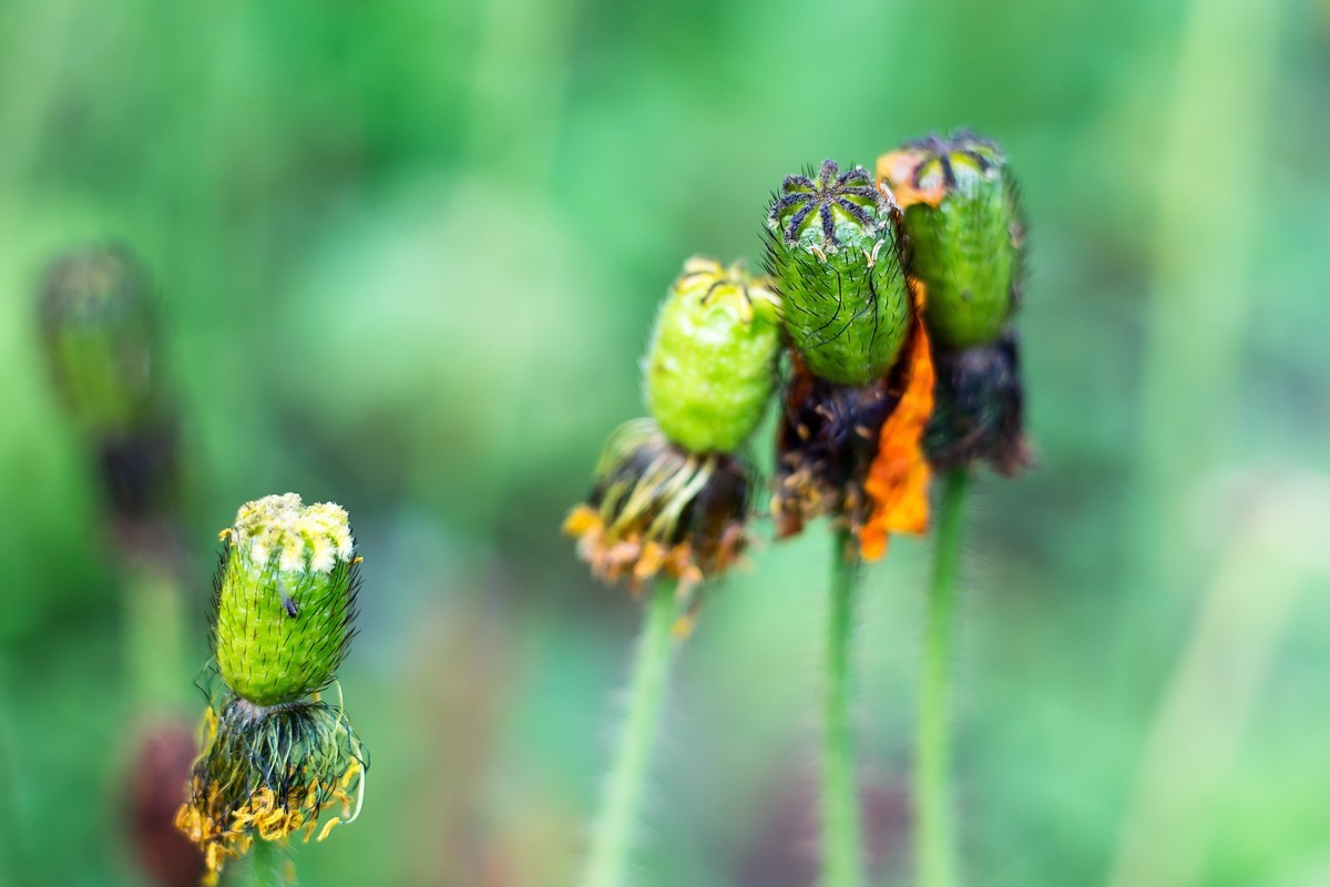 pb口潘太康50 1.8.试镜