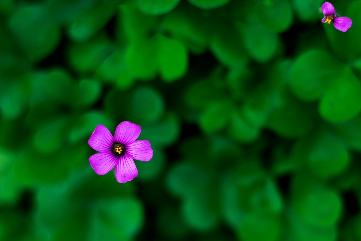 pb口潘太康50 1.8.试镜