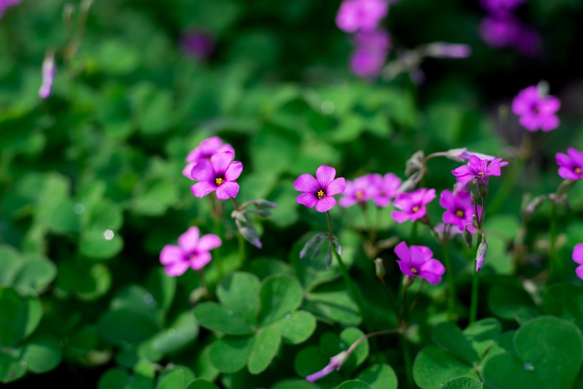 pb口潘太康50 1.8.试镜