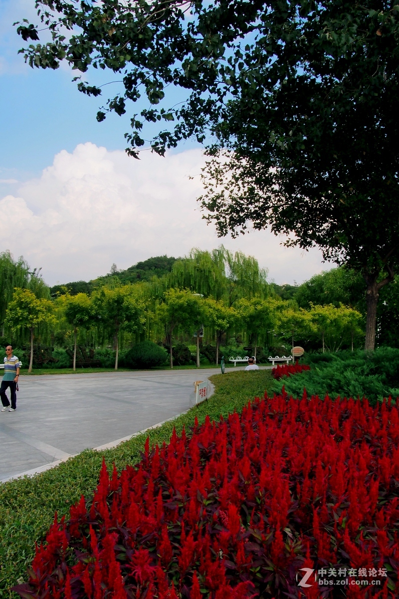 E--P5南翠屏公园随拍