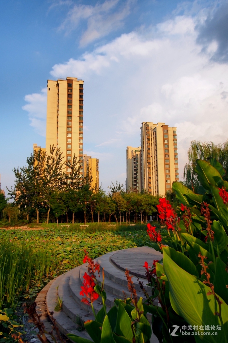 E--P5南翠屏公园随拍