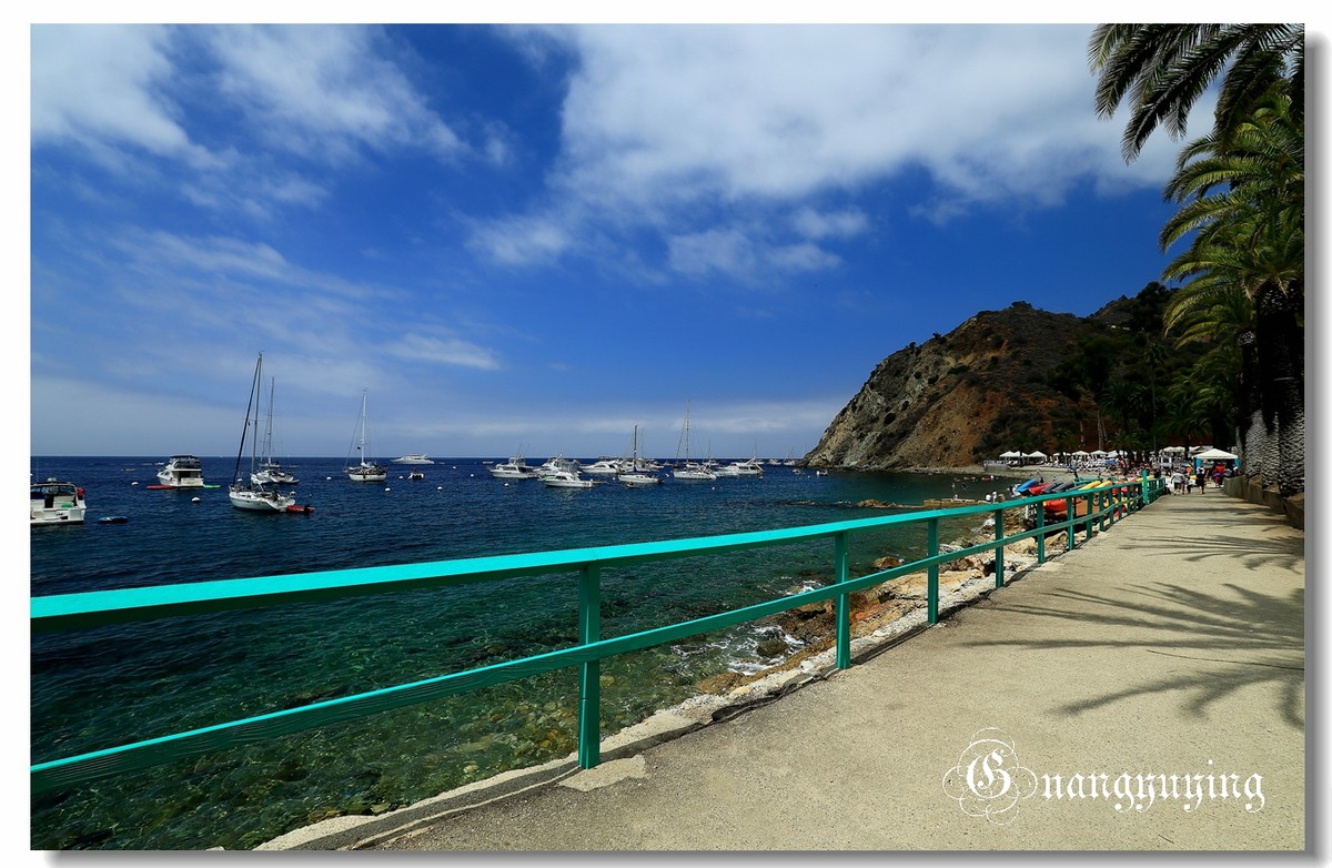 洛杉矶卡特琳娜岛新月海滩印象