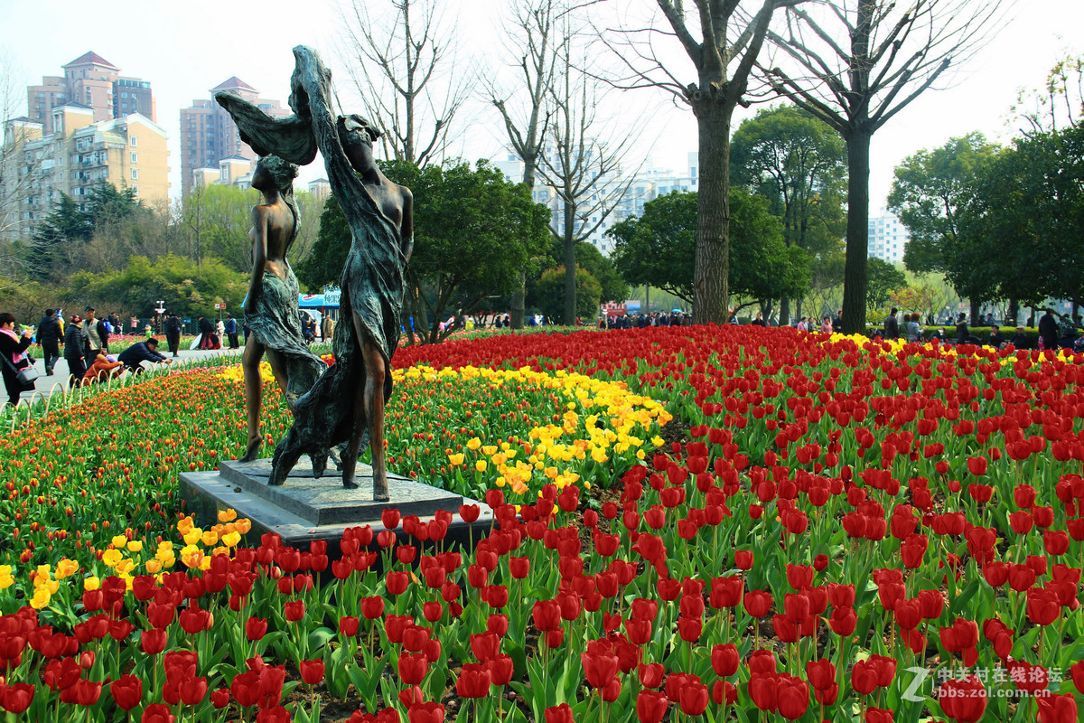 上海大寧靈石公園2016新湖鬱金香花博會掠影