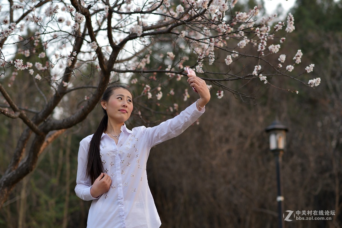 淑女范（邯郸赵苑）