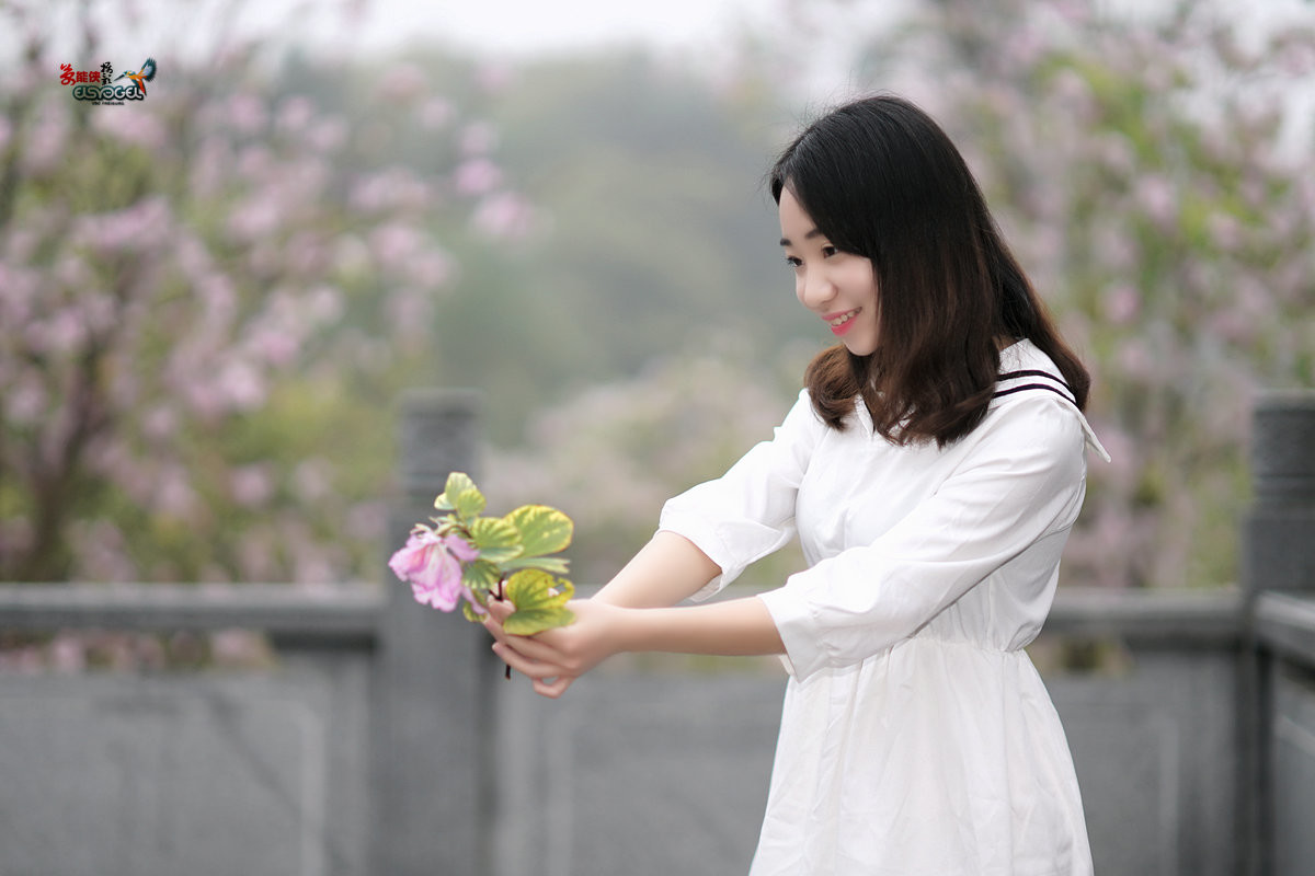 【雨后华农紫荆花少女】 -----墨墨酱