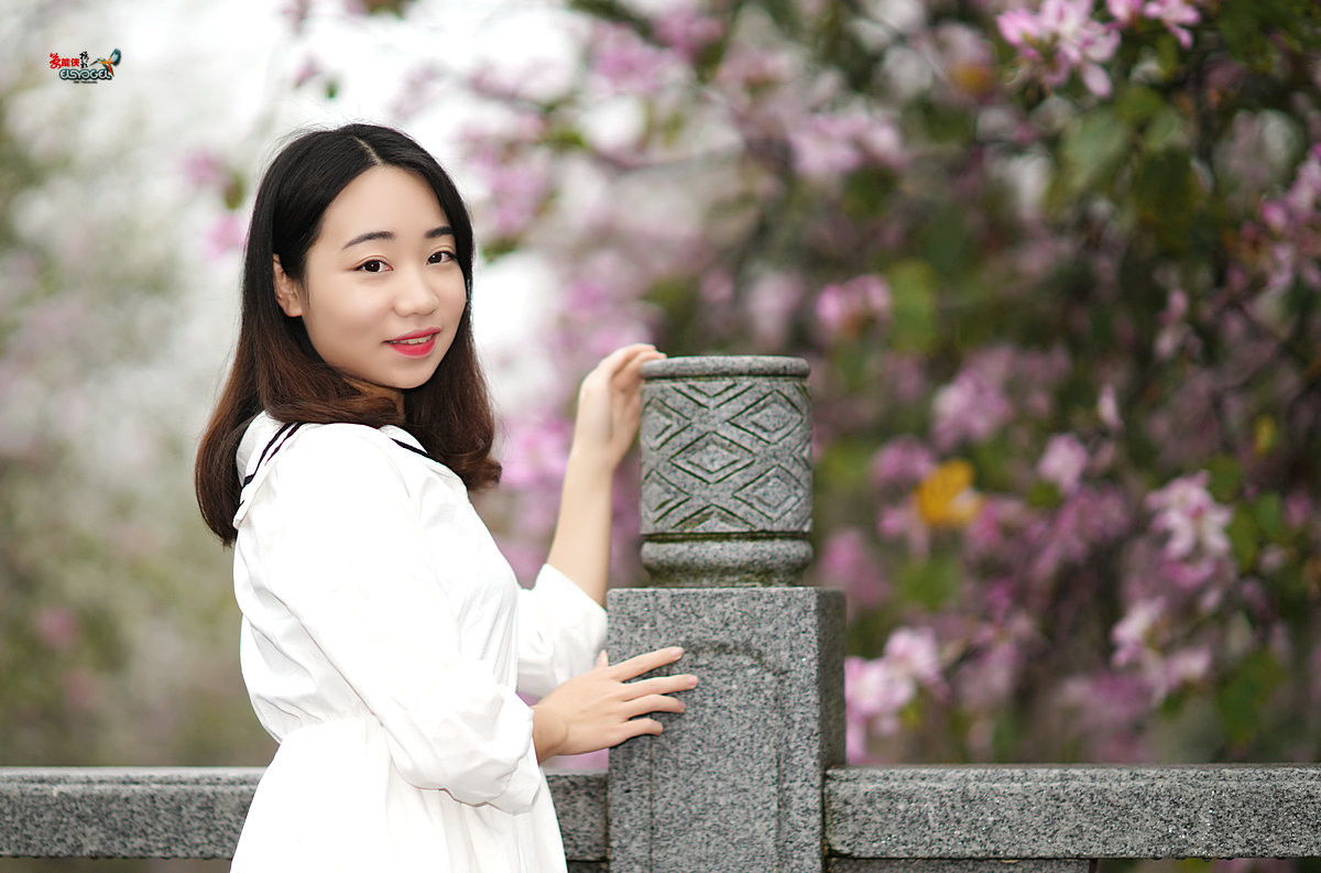【雨后华农紫荆花少女】 -----墨墨酱