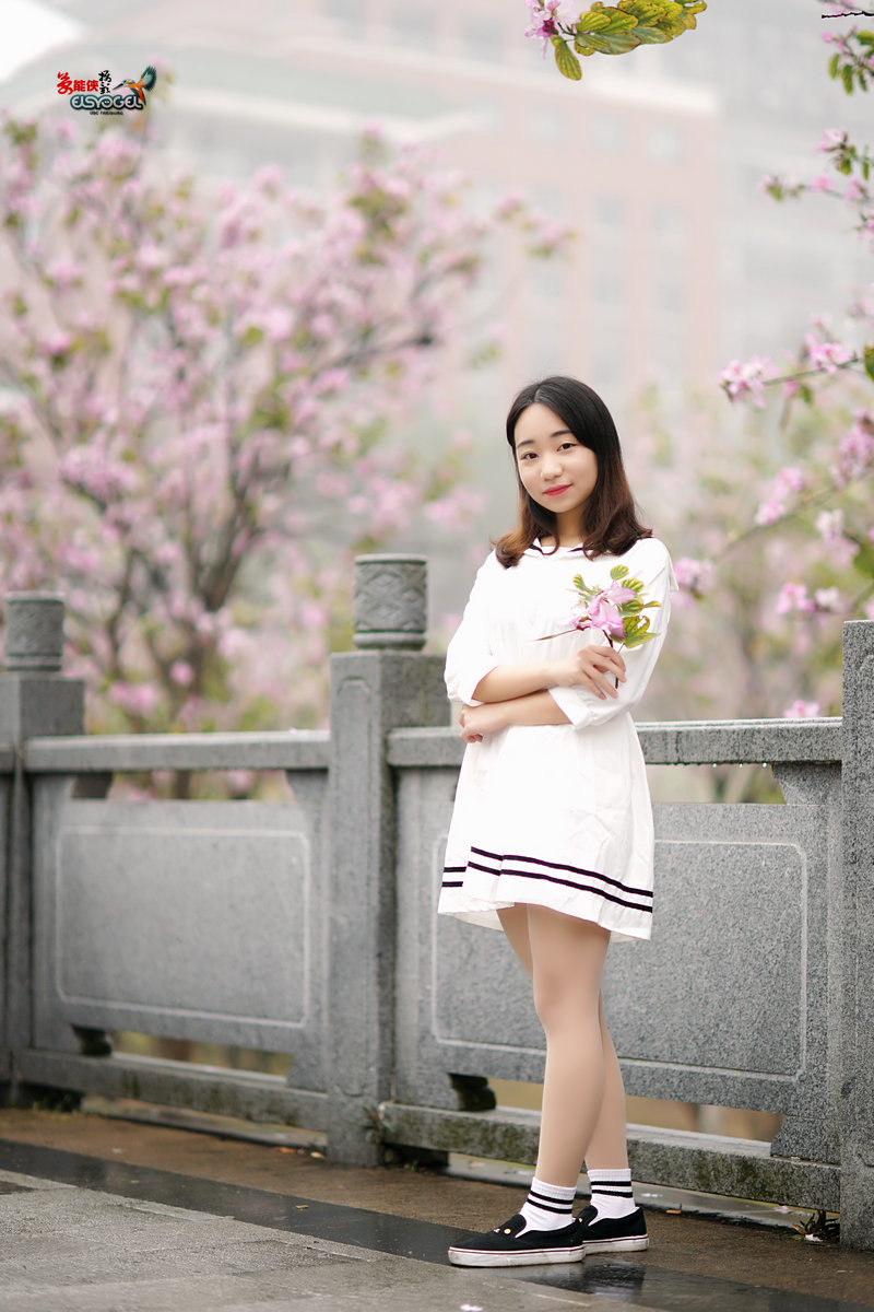 【雨后华农紫荆花少女】 -----墨墨酱