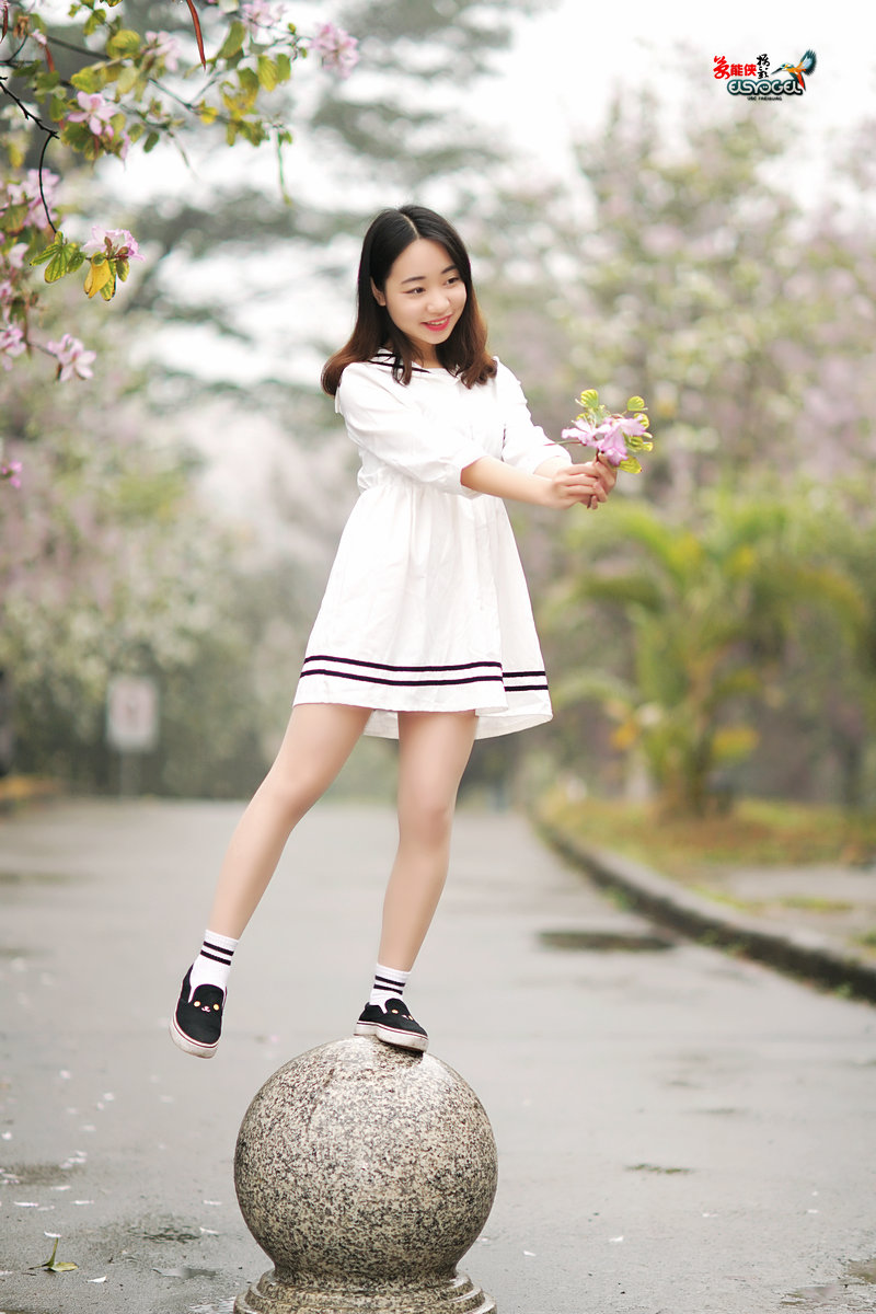 【雨后华农紫荆花少女】 -----墨墨酱