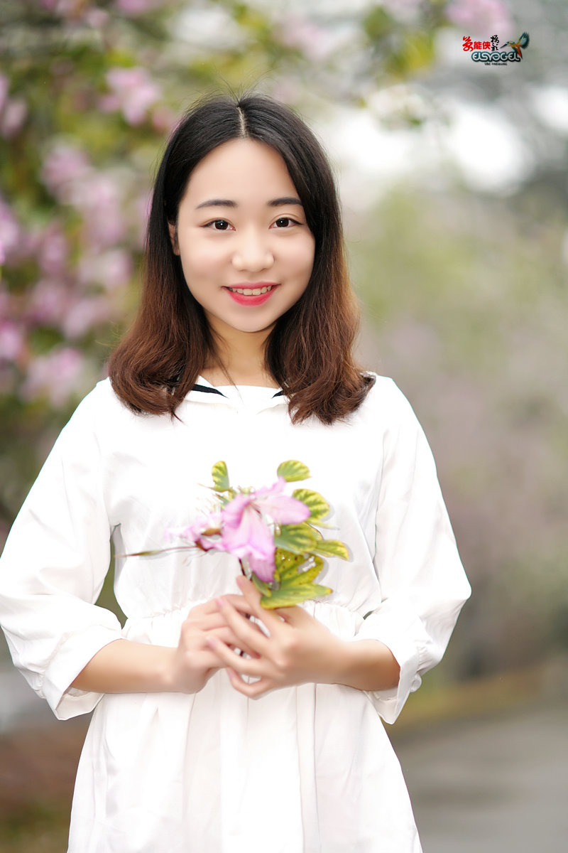 【雨后华农紫荆花少女】 -----墨墨酱