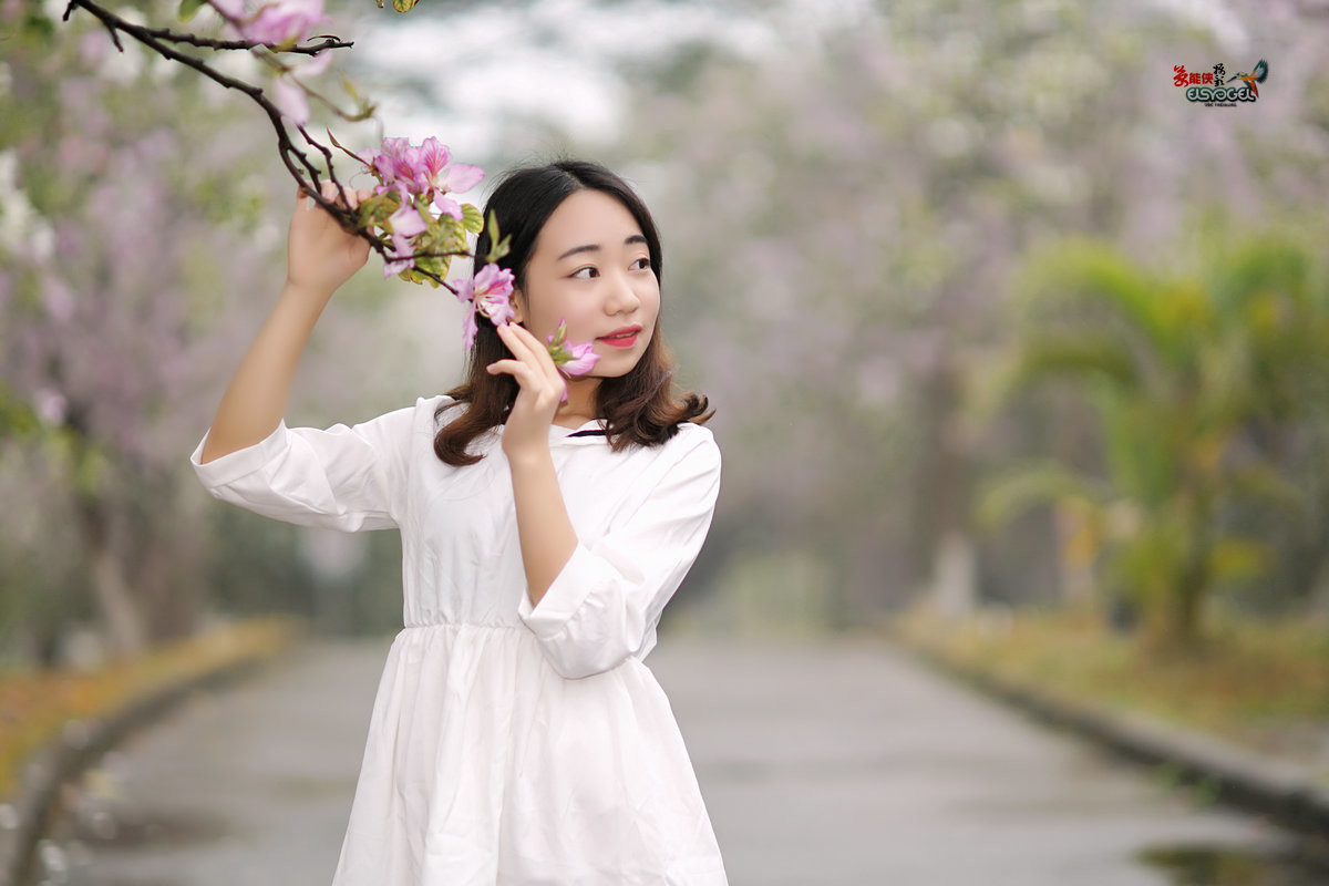 【雨后华农紫荆花少女】 -----墨墨酱