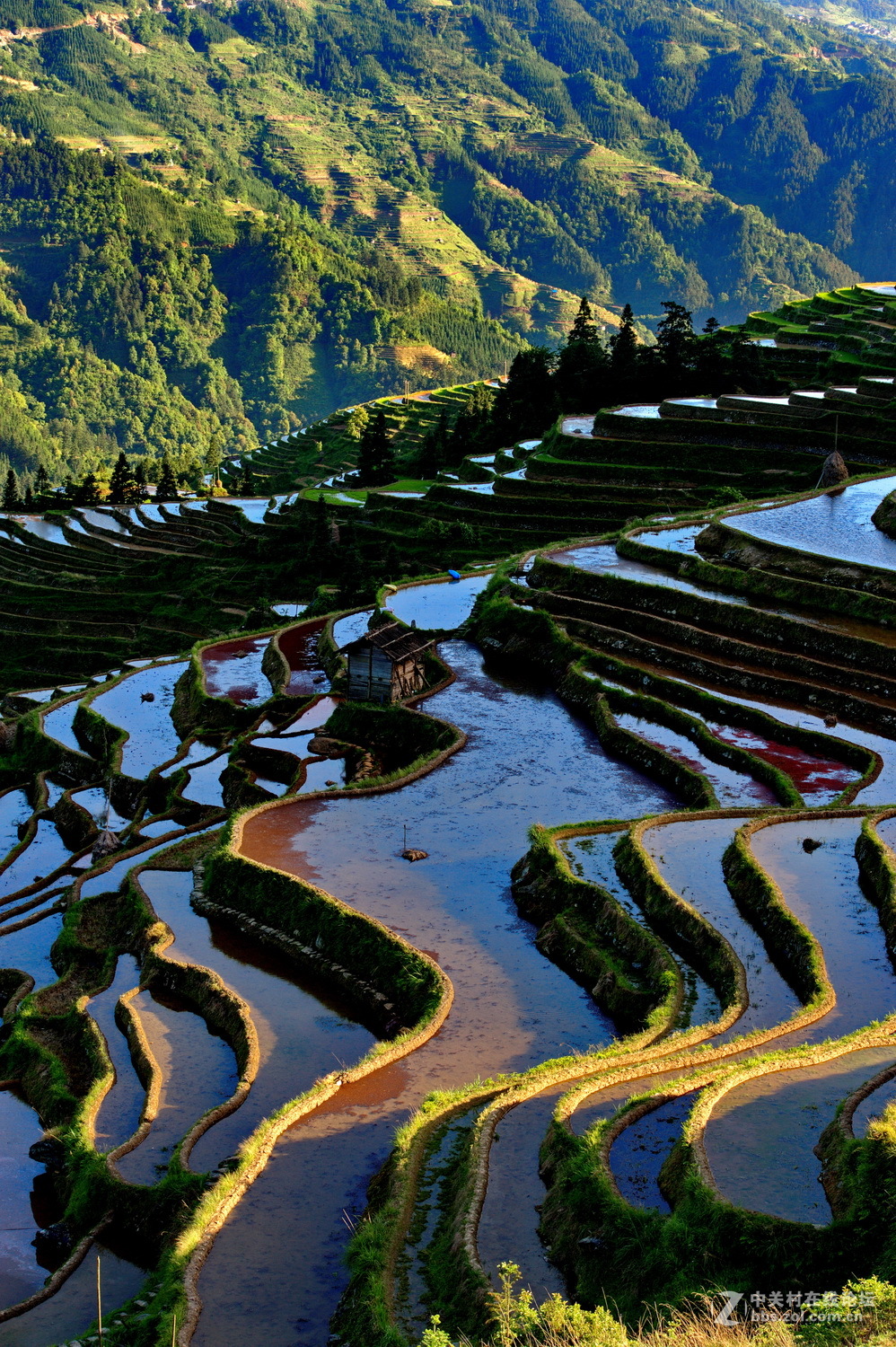 月亮山中五彩梯田