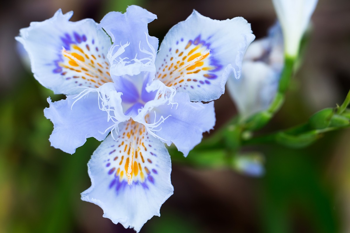 pb口潘太康50 1.8.试镜