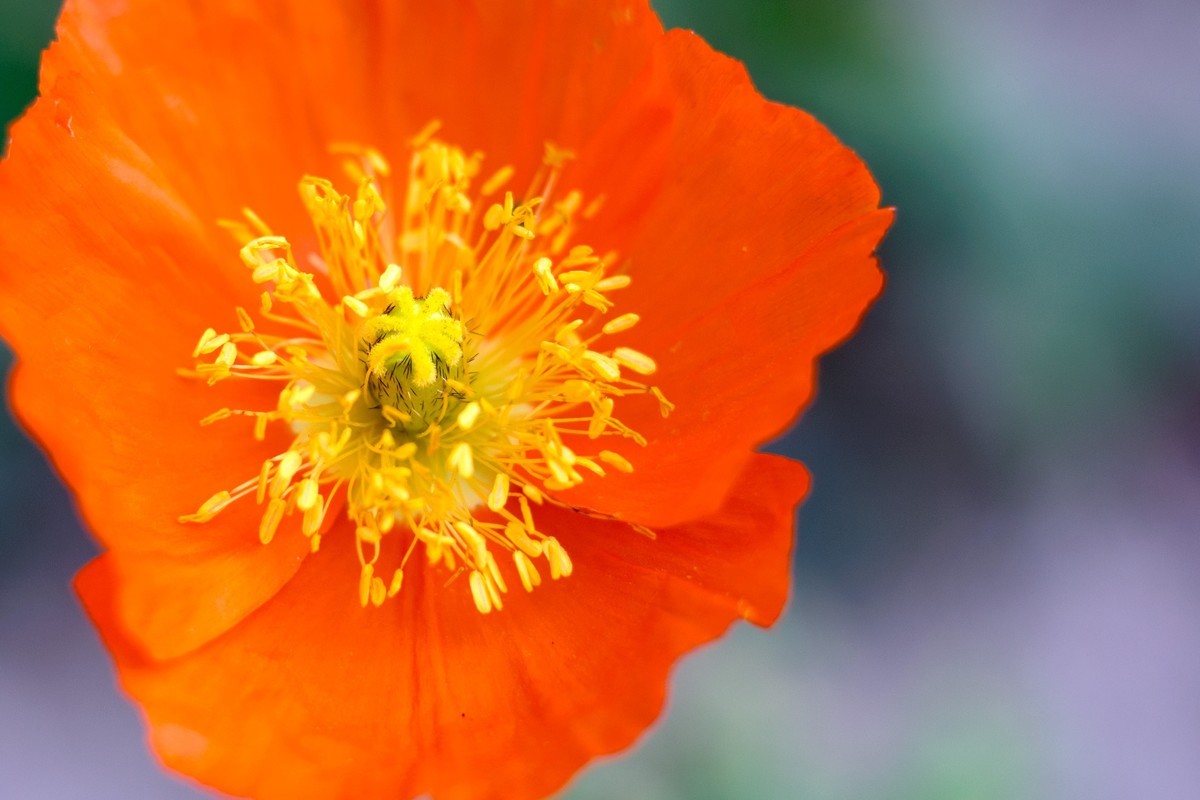 pb口潘太康50 1.8.试镜