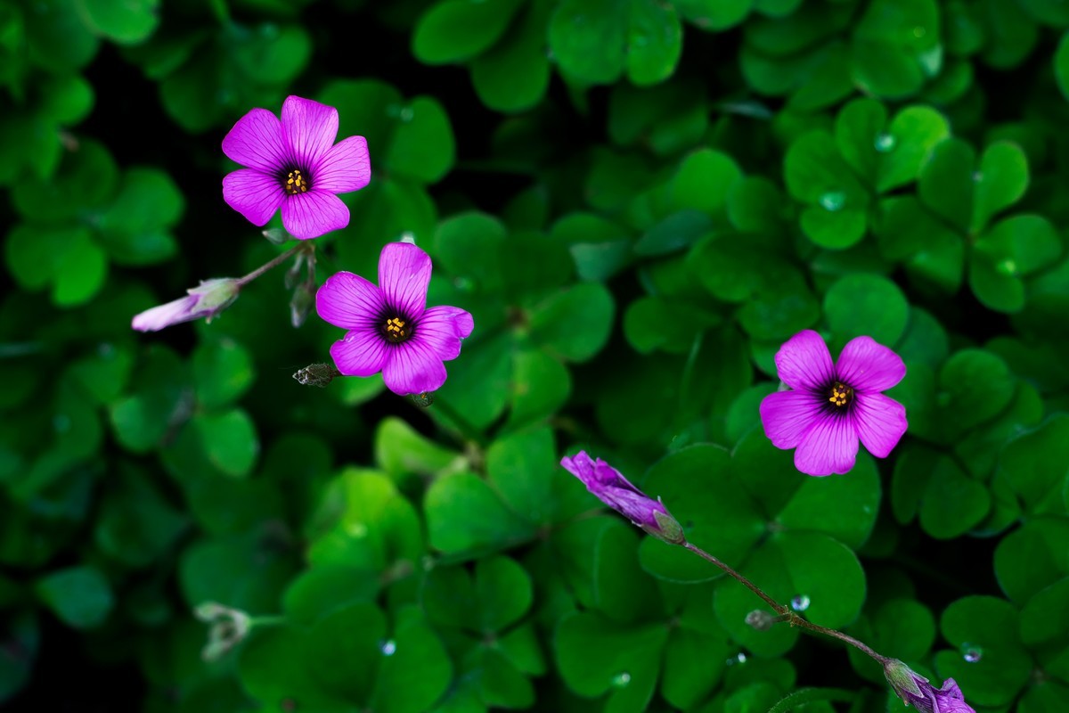 pb口潘太康50 1.8.试镜