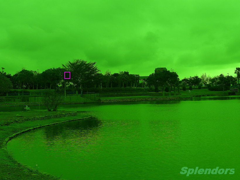 FZ200, (阴天) 红外线滤镜实拍(Cokin P007),