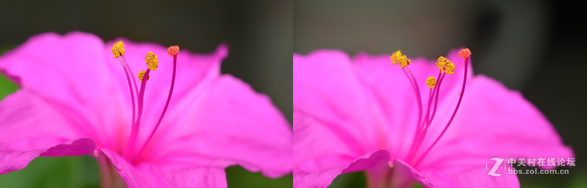 左右立体小花