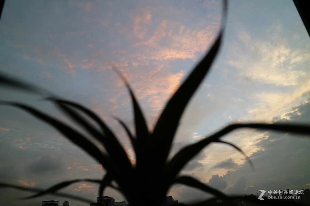 新手试拍（第二弹）！望指教