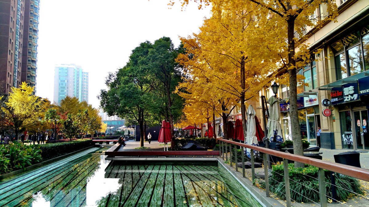 黄金城道 秋意浓