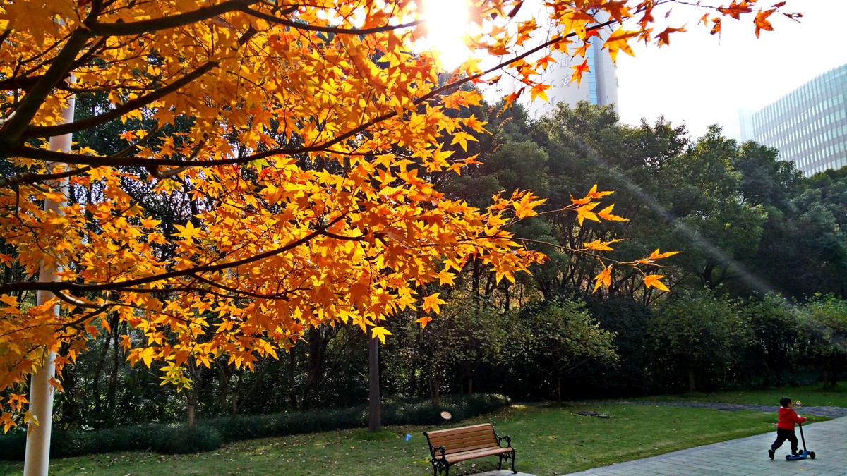黄金城道 秋意浓