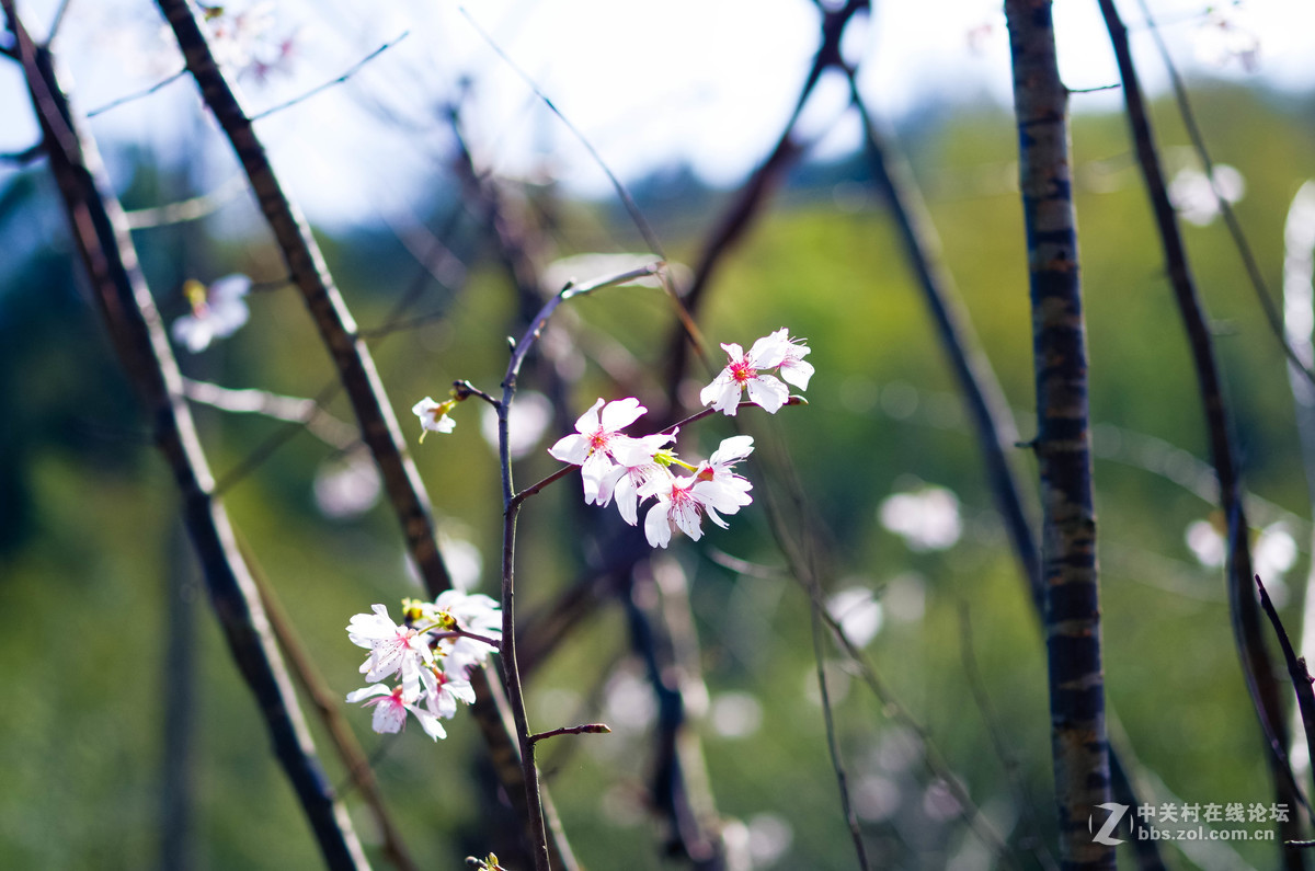 新手随手拍的，后期lr修图