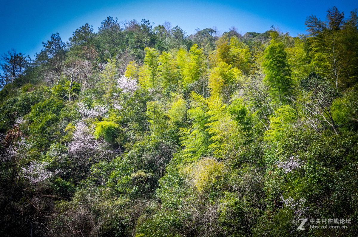 新手随手拍的，后期lr修图