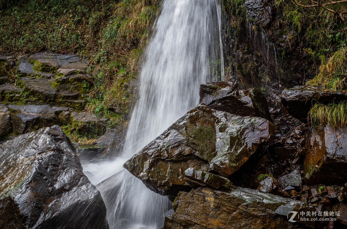 新手随手拍的，后期lr修图