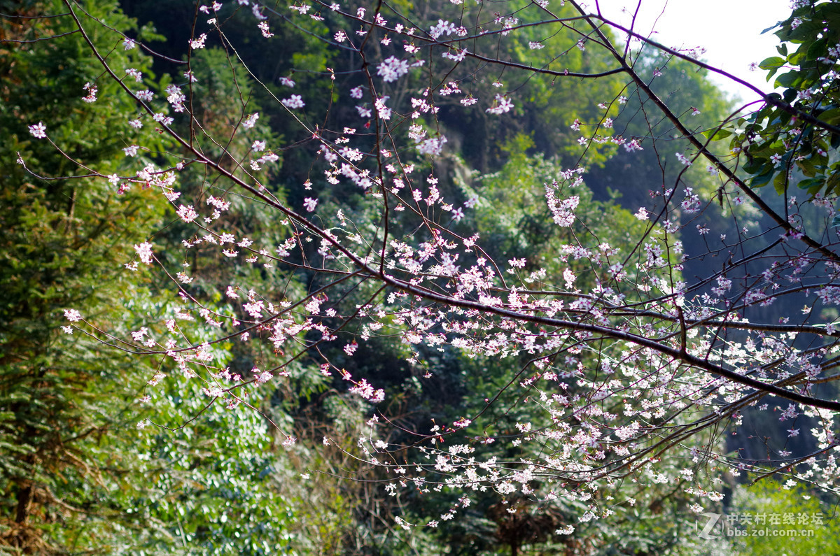 新手随手拍的，后期lr修图