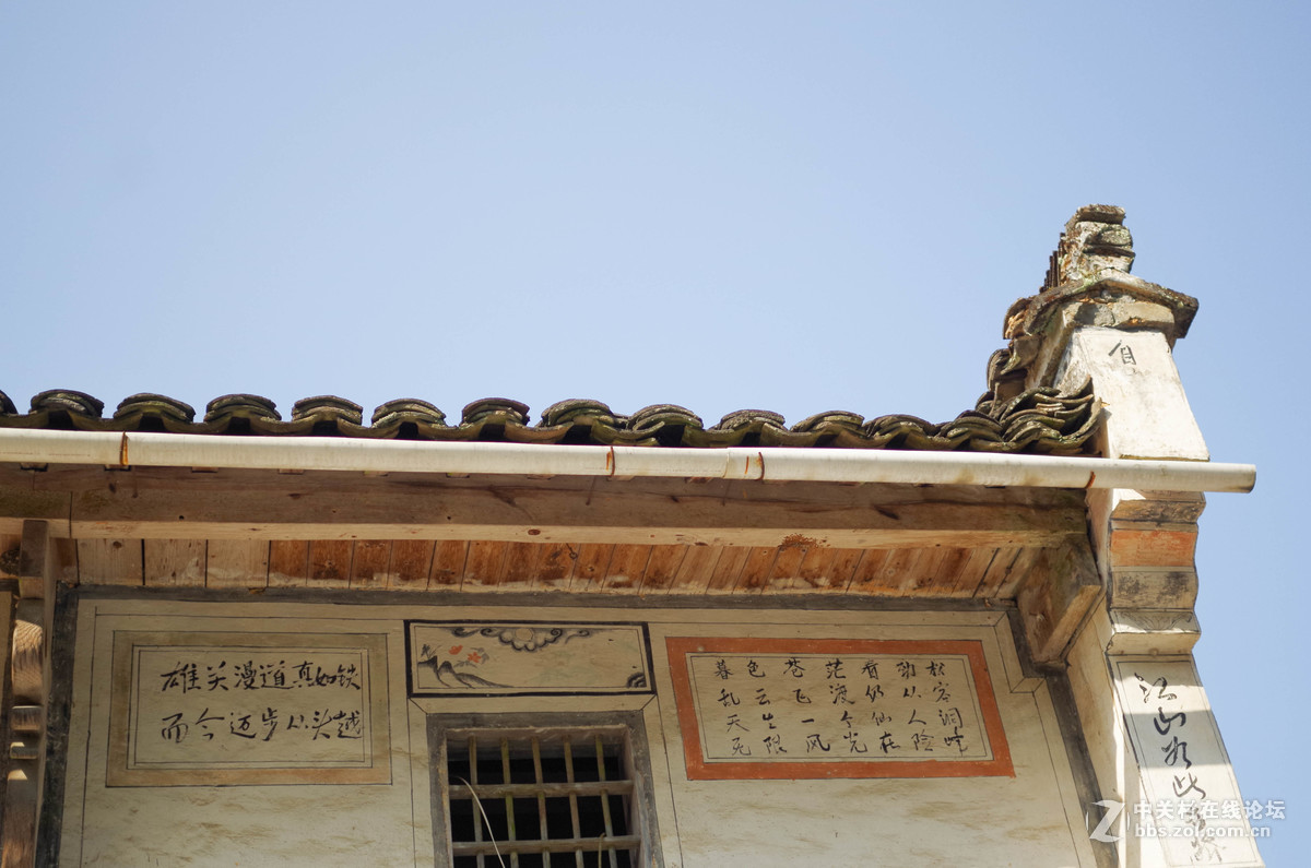 新手随手拍的，后期lr修图