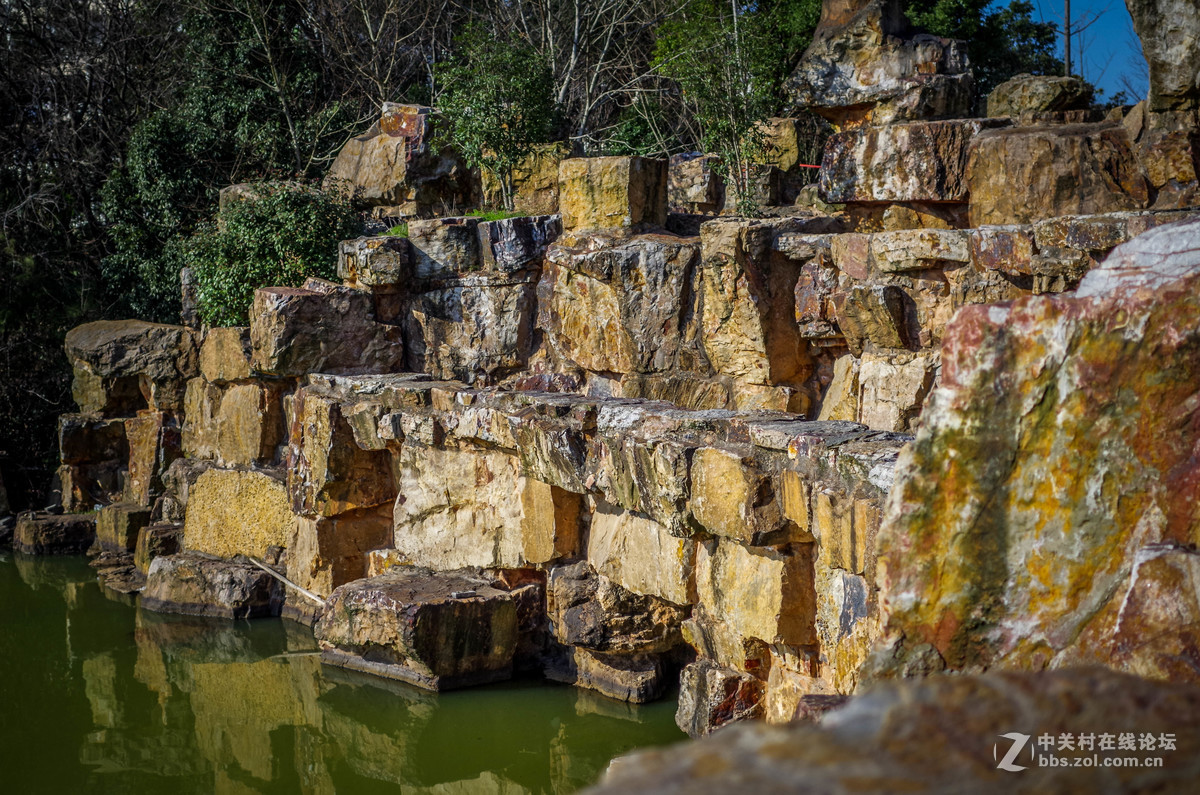 新手随手拍的，后期lr修图