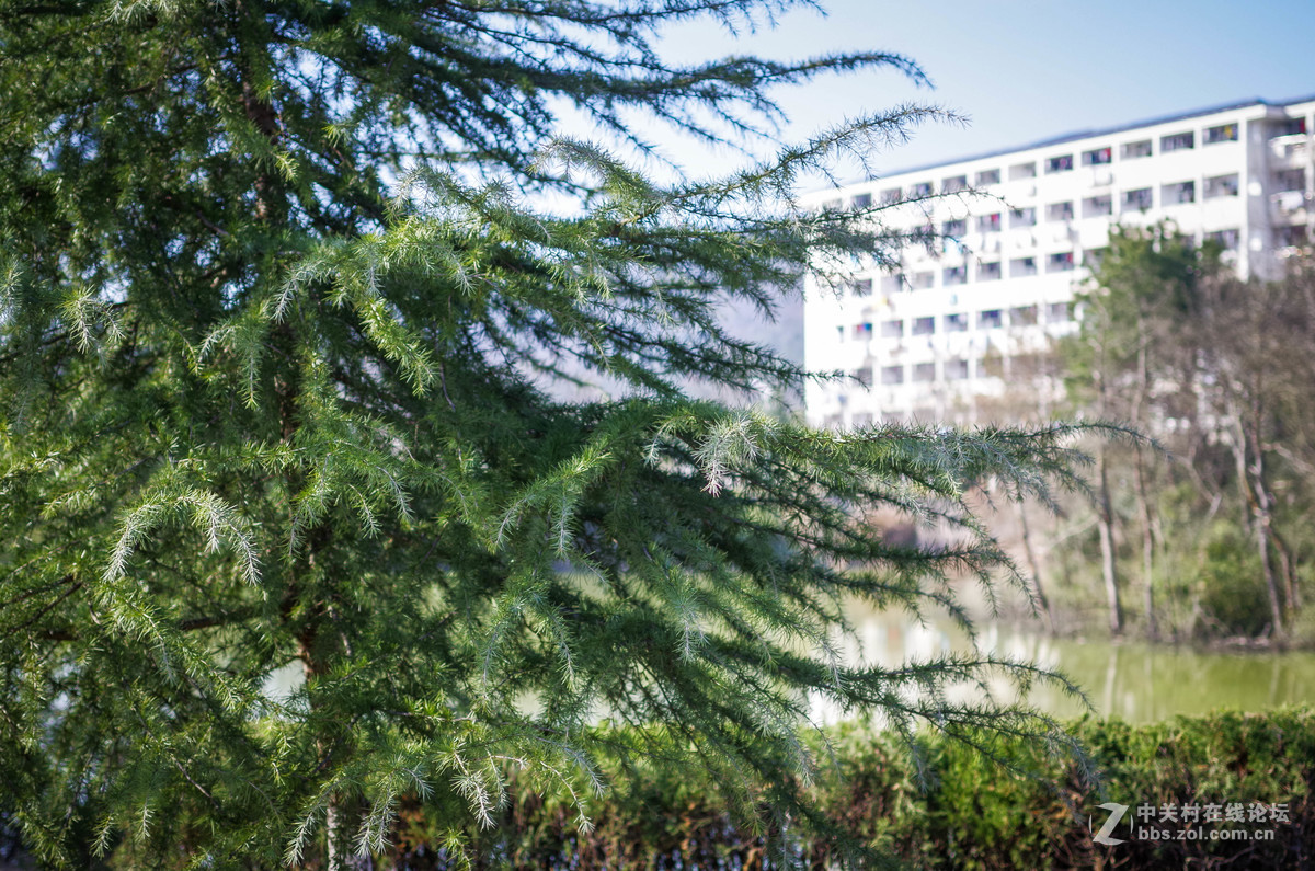 新手随手拍的，后期lr修图