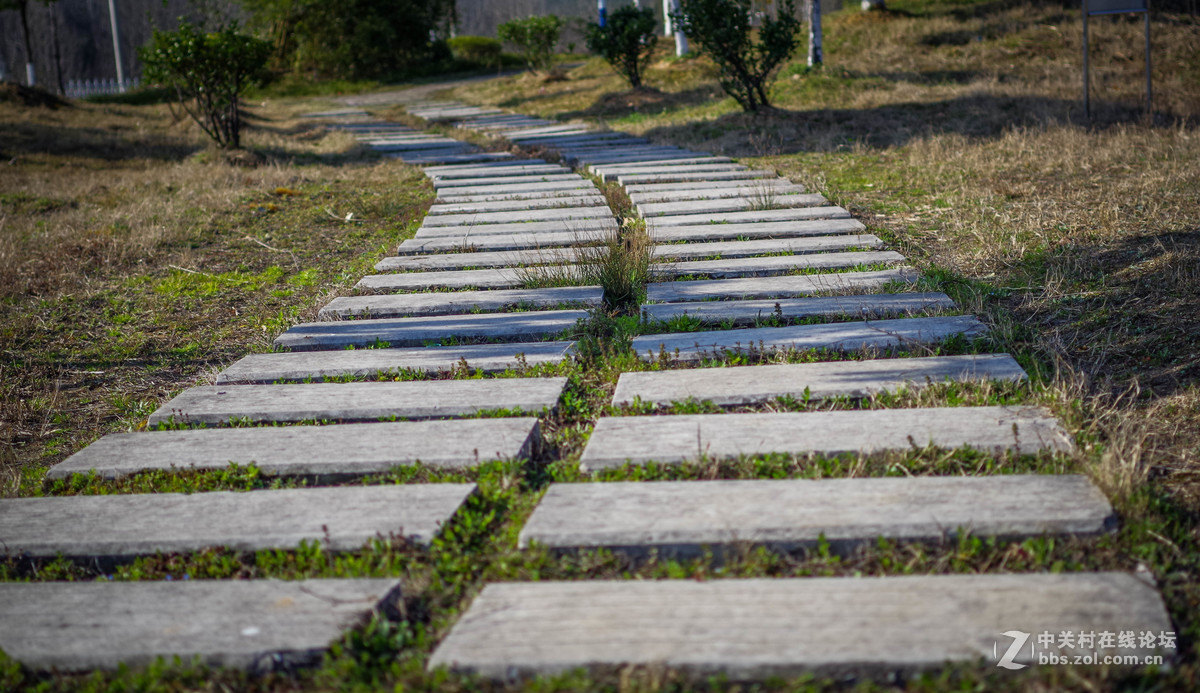 新手随手拍的，后期lr修图
