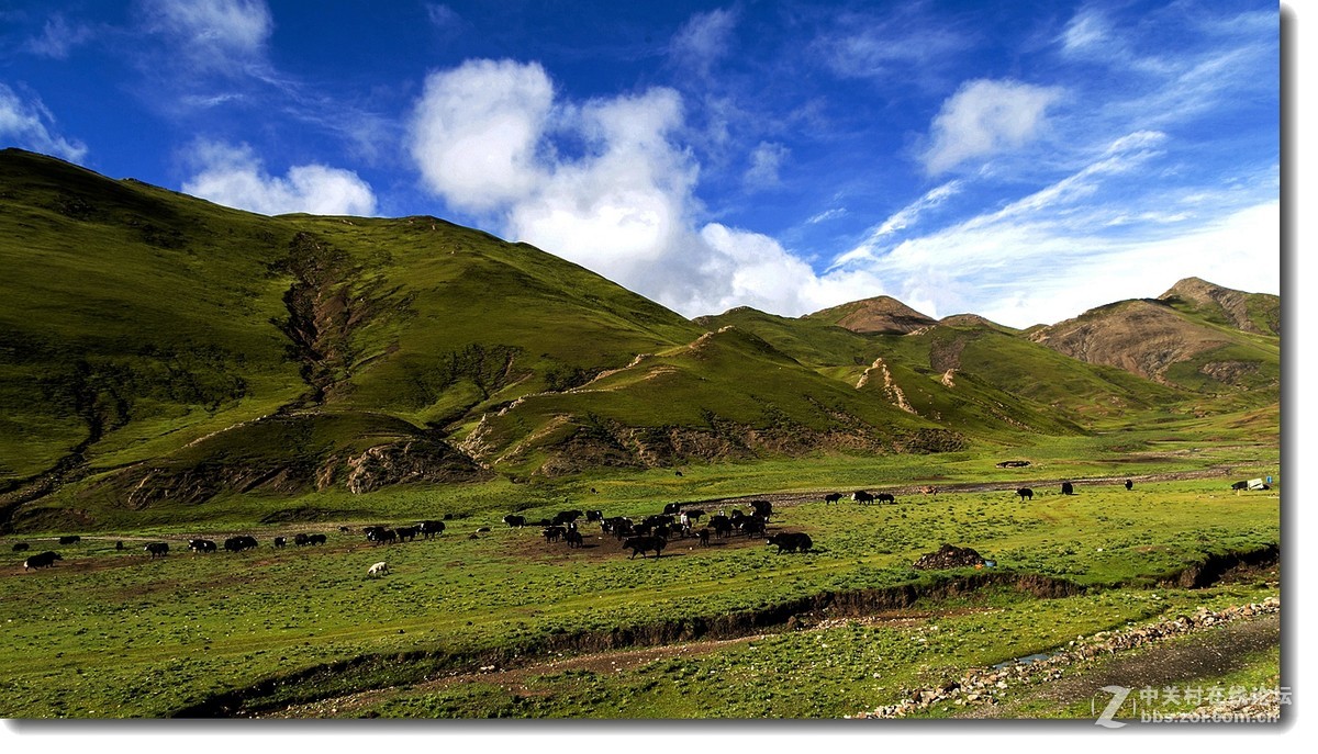 新藏线骑游随拍桑桑镇拉孜县