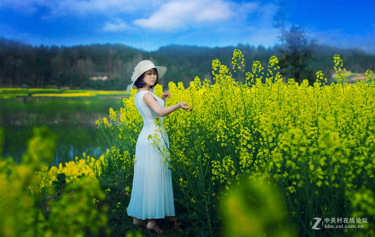 油菜花黄美女来独行侠摄影