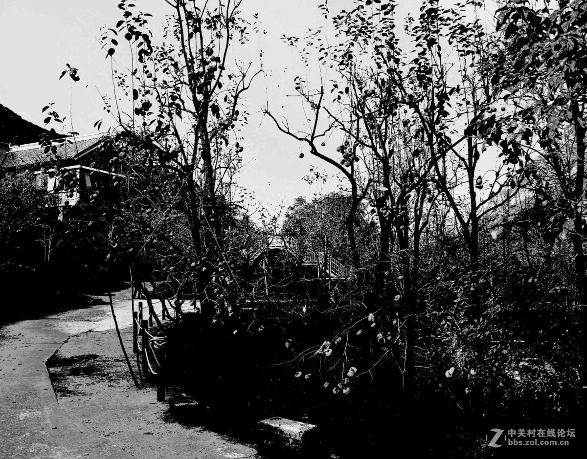 马中文达思-保定神泉山庄系列